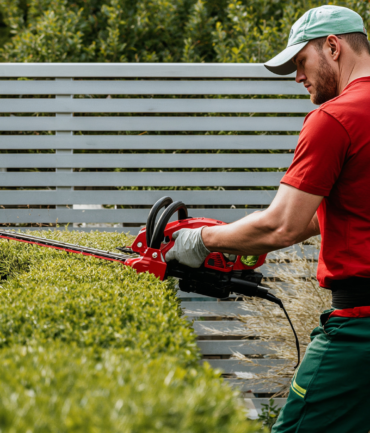 Diseño sin título - 2026-01-27T132241.103