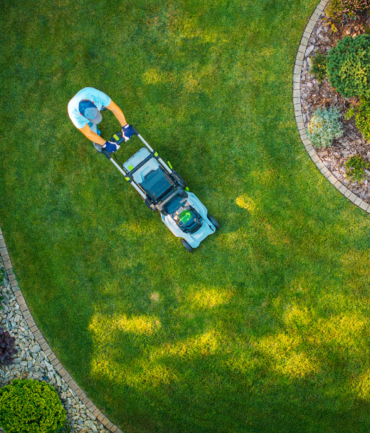 Diseño sin título - 2026-01-27T132436.685