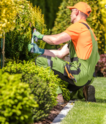 Diseño sin título - 2026-01-27T132549.683