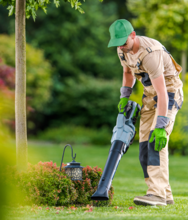 Diseño sin título - 2026-01-27T132716.156