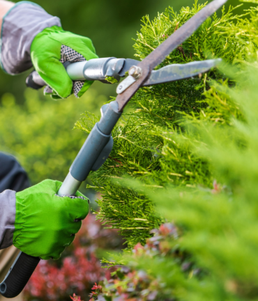 Diseño sin título - 2026-01-27T132749.656