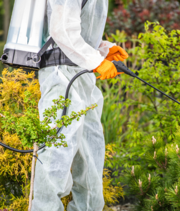 Diseño sin título - 2026-01-27T133210.783