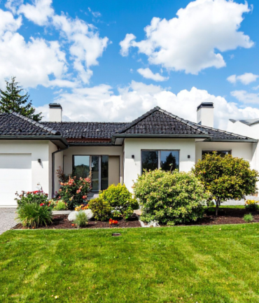 Diseño sin título - 2026-01-27T133418.269